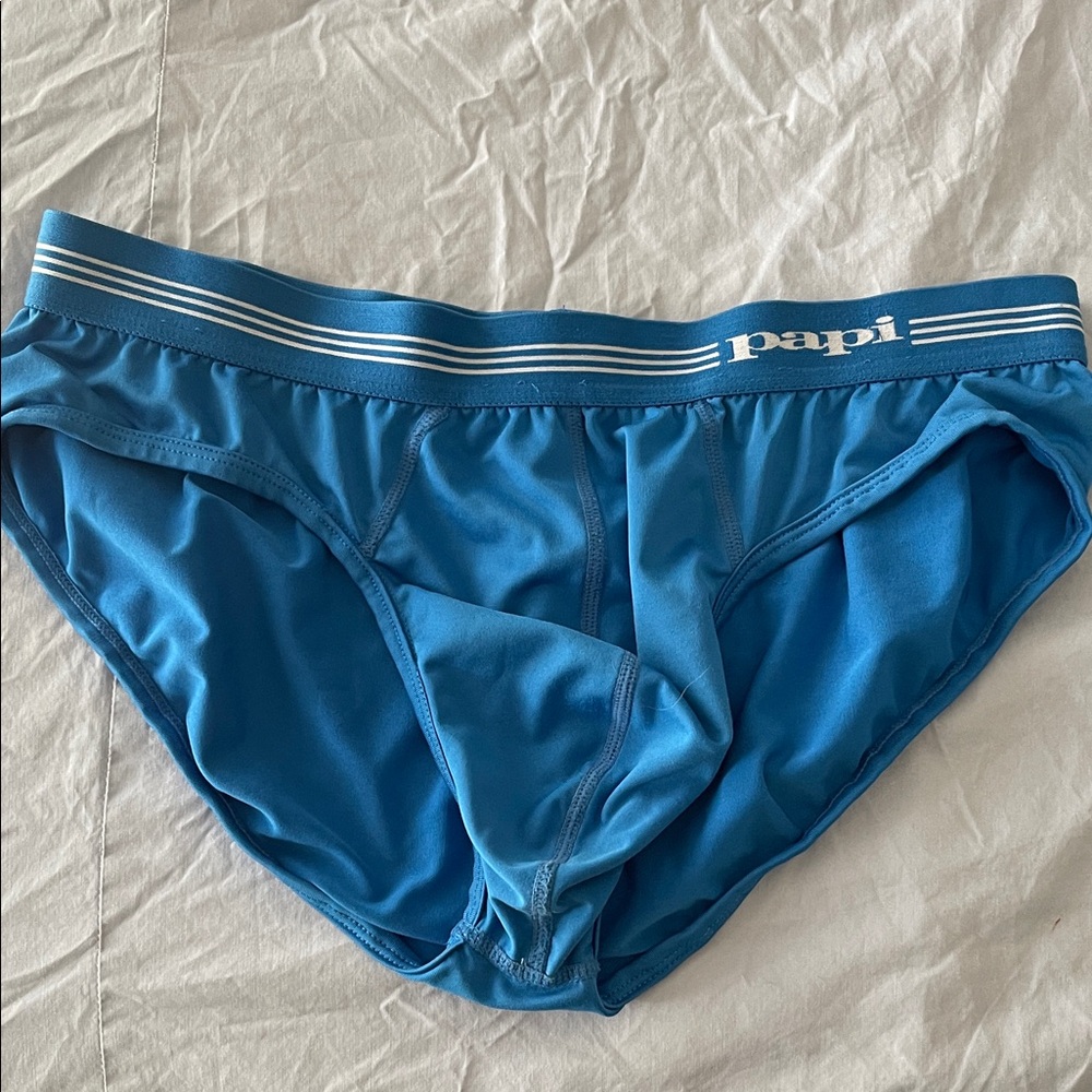 Men's Blue Papi Briefs